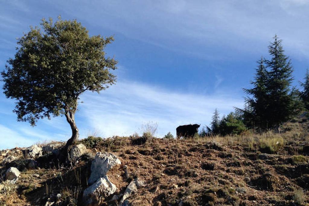 Telecabina Las Catifas Guejar Sierra Esterno foto